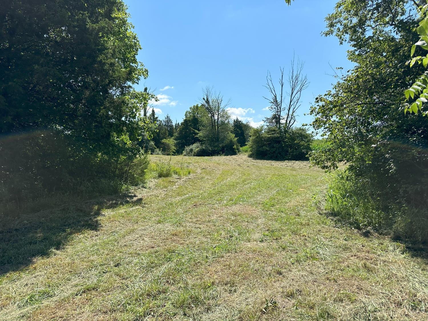 625 Branscome Road Peebles, OH 45660 - Photo 17 of 55
