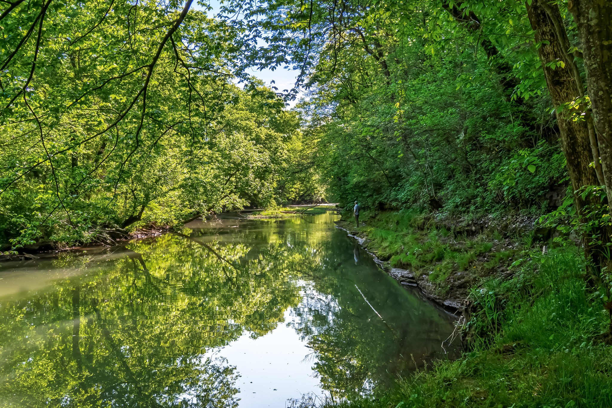 300 Gunter Smith Road Pulaski, TN 38478 - Photo 46 of 66