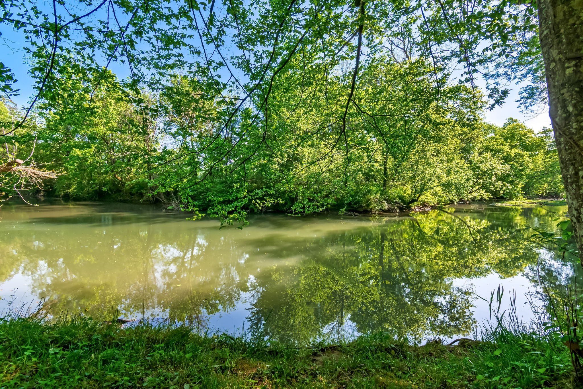 300 Gunter Smith Road Pulaski, TN 38478 - Photo 49 of 66 a view of a lake with a yard