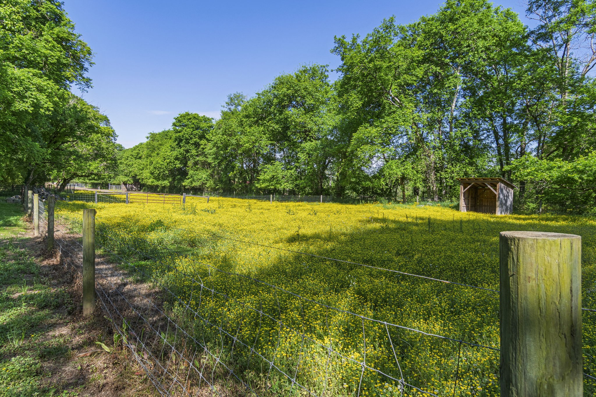 300 Gunter Smith Road Pulaski, TN 38478 - Photo 50 of 66