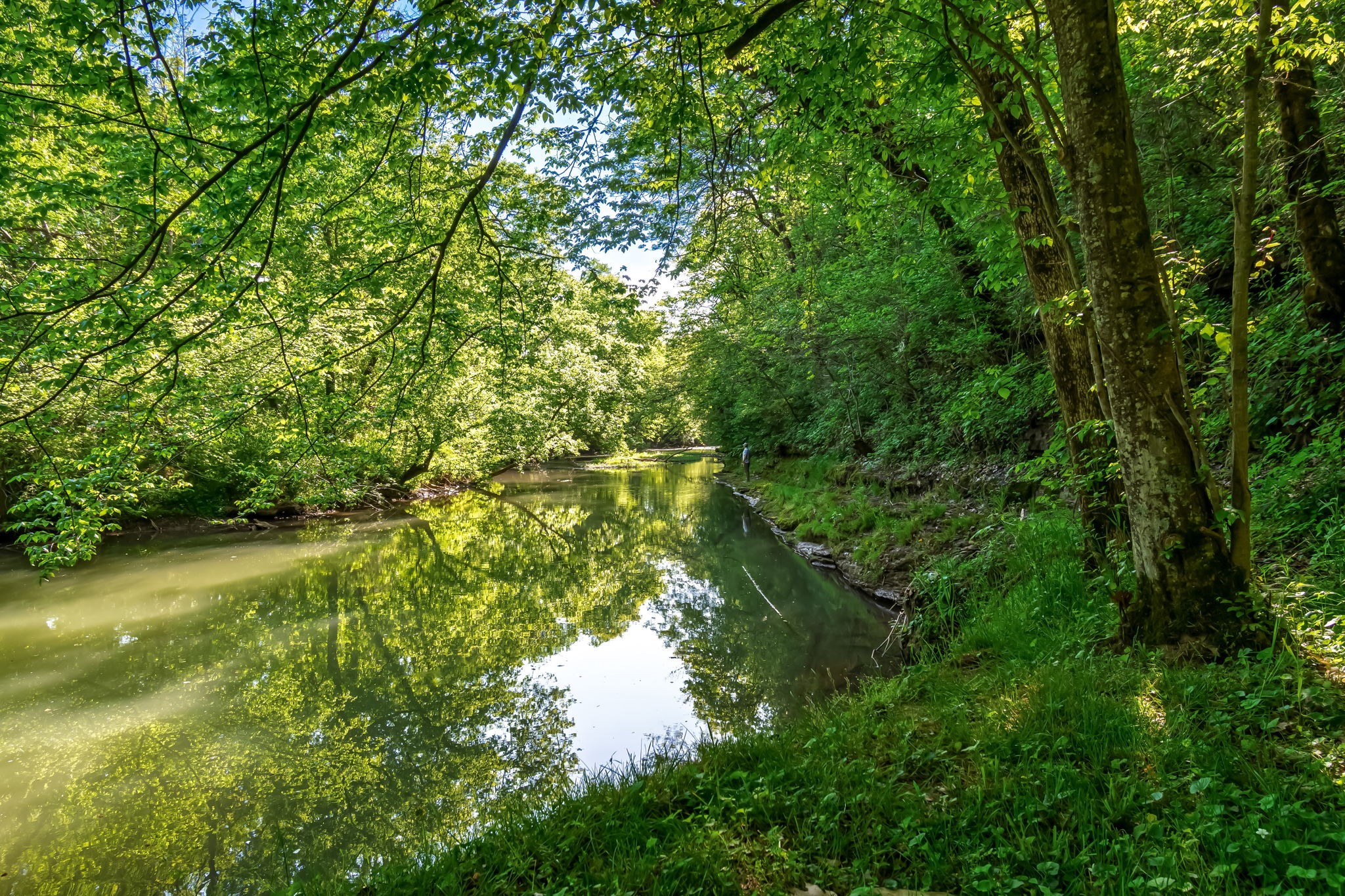 300 Gunter Smith Road Pulaski, TN 38478 - Photo 51 of 66