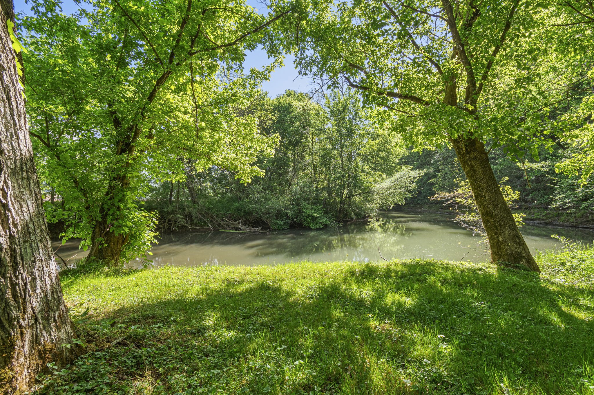300 Gunter Smith Road Pulaski, TN 38478 - Photo 55 of 66 a backyard of a house with lots of green space