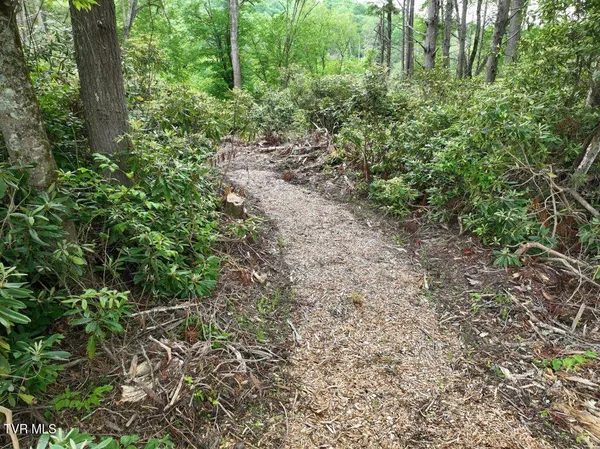 $189,000 | 1772 Ripshin Mountain Road, Unit 55, Roan Mountain, TN 37687