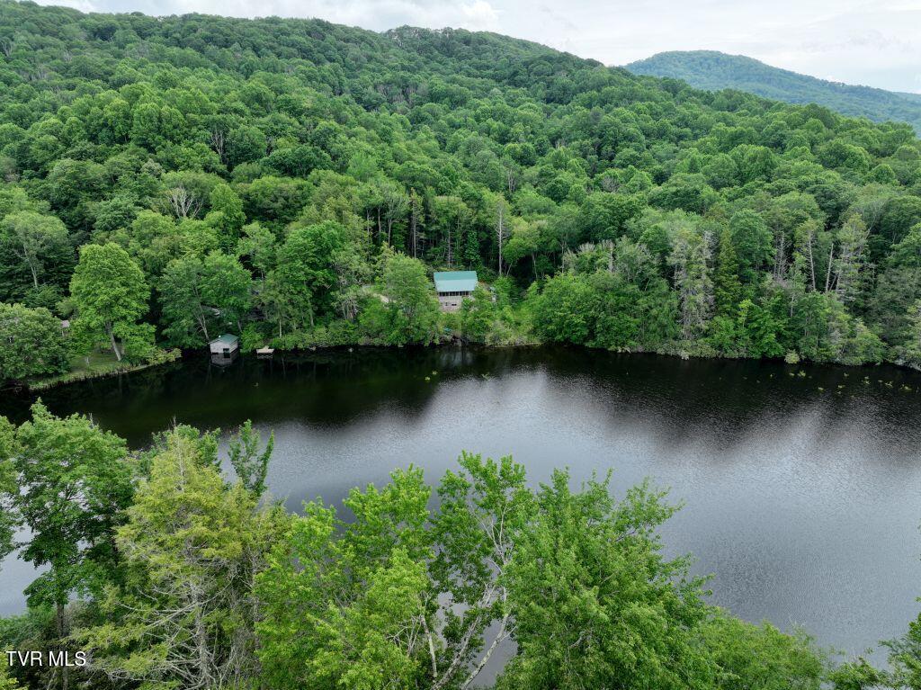 1772 Ripshin Mountain Road, Unit 55 Roan Mountain, TN 37687 - Photo 13 of 42 DJI_0088 (1)