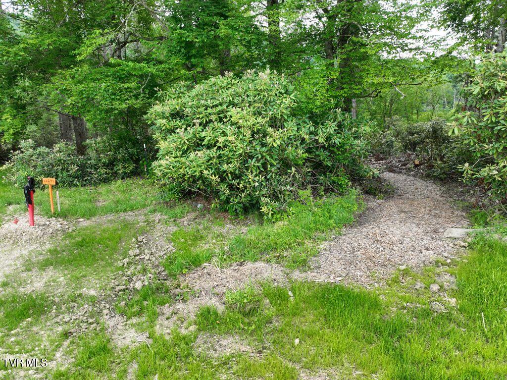 1772 Ripshin Mountain Road, Unit 55 Roan Mountain, TN 37687 - Photo 17 of 42 DJI_0075