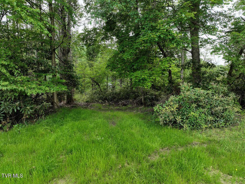 1772 Ripshin Mountain Road, Unit 55 Roan Mountain, TN 37687 - Photo 18 of 42 DJI_0091