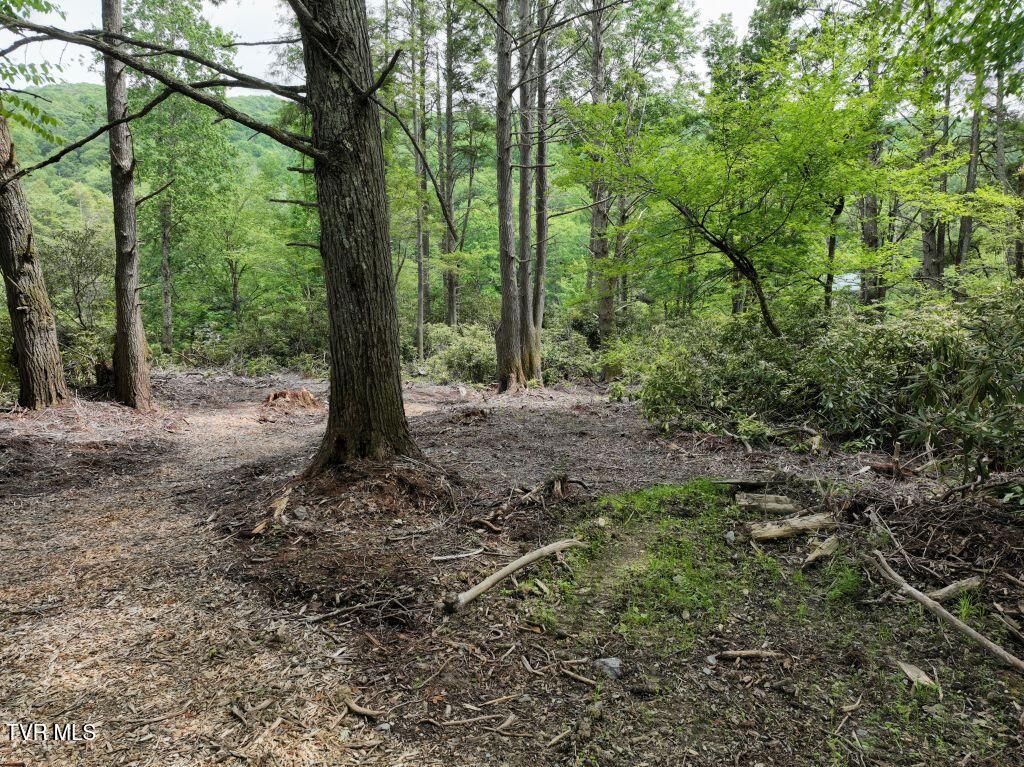 1772 Ripshin Mountain Road, Unit 55 Roan Mountain, TN 37687 - Photo 19 of 42 DJI_0094