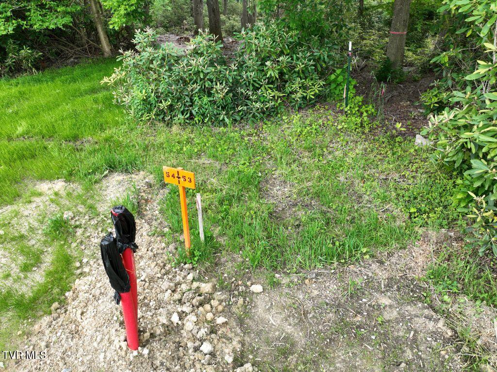 1772 Ripshin Mountain Road, Unit 55 Roan Mountain, TN 37687 - Photo 3 of 42 DJI_0076