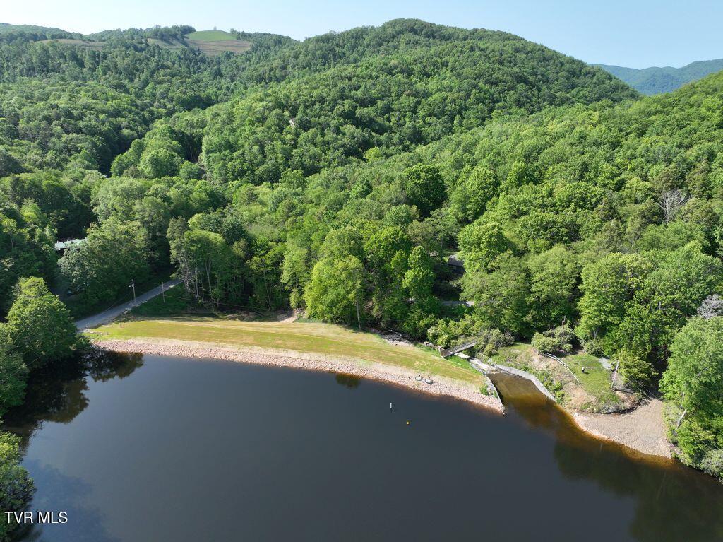 1772 Ripshin Mountain Road, Unit 55 Roan Mountain, TN 37687 - Photo 35 of 42 DJI_0873