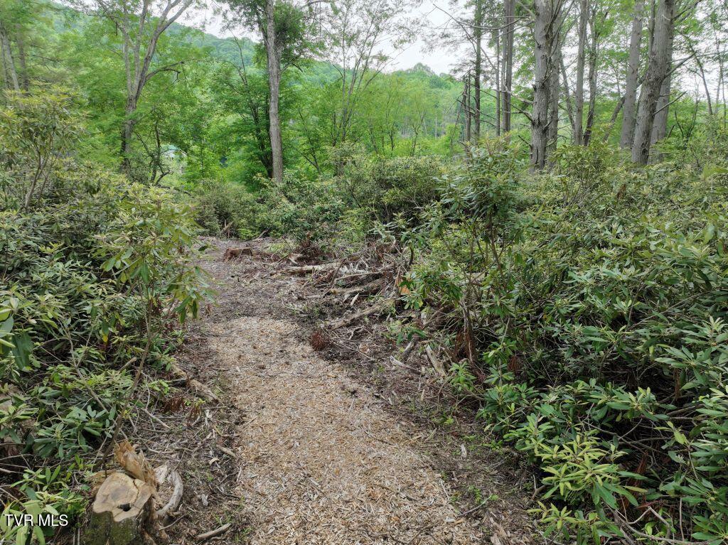 1772 Ripshin Mountain Road, Unit 55 Roan Mountain, TN 37687 - Photo 6 of 42 DJI_0080