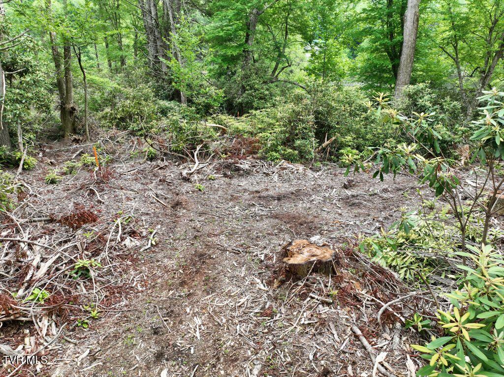 1772 Ripshin Mountain Road, Unit 55 Roan Mountain, TN 37687 - Photo 8 of 42 DJI_0082