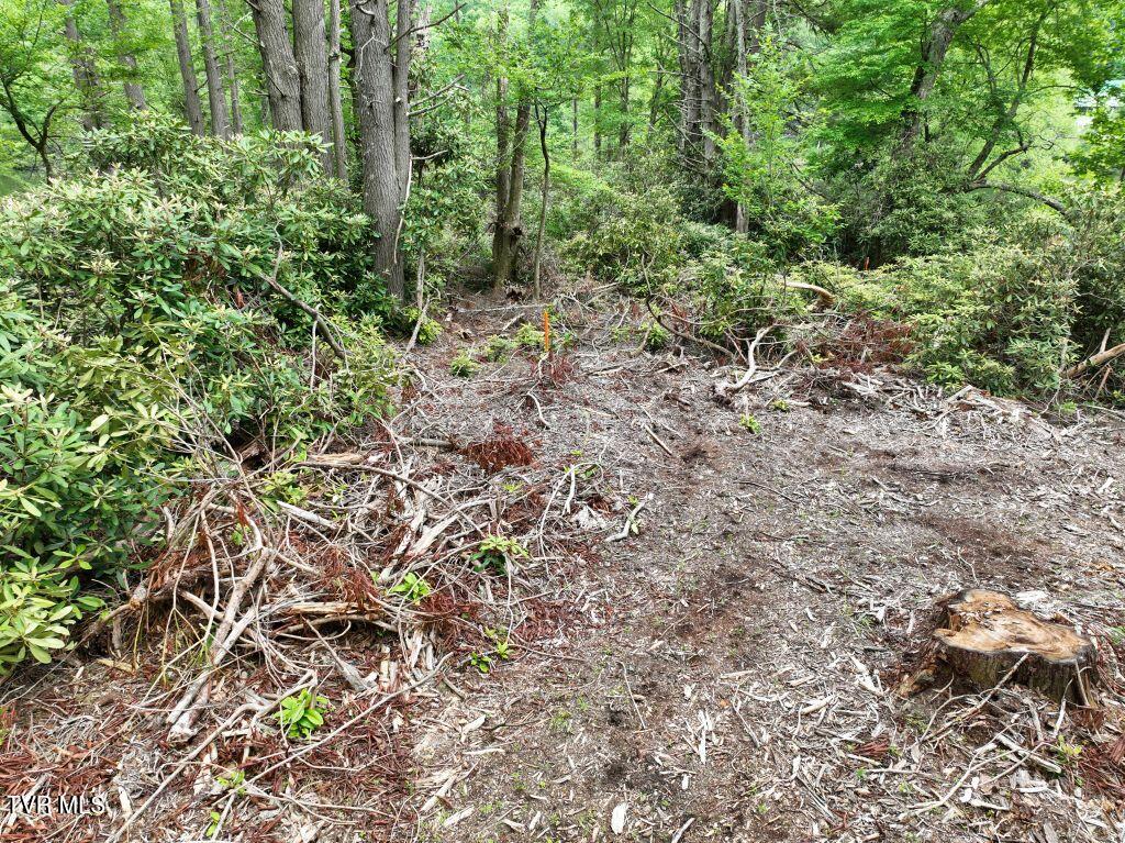 1772 Ripshin Mountain Road, Unit 55 Roan Mountain, TN 37687 - Photo 9 of 42 DJI_0083