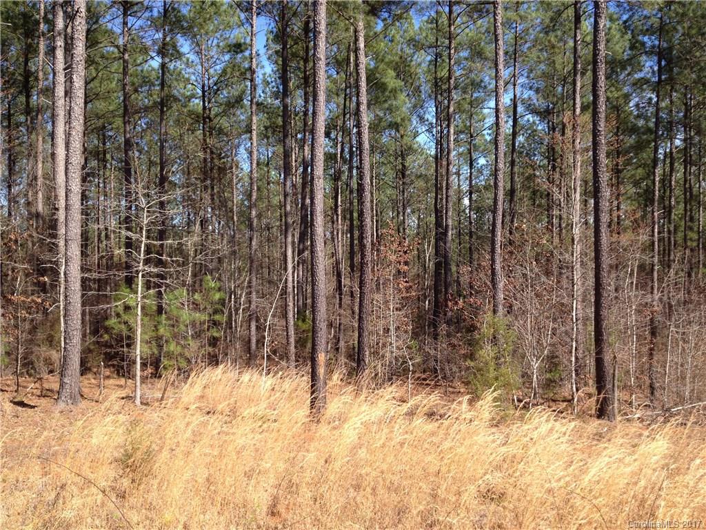 Lot 4 Goings Road, Unit 4 Chester, SC 29706 - Photo 14 of 16
