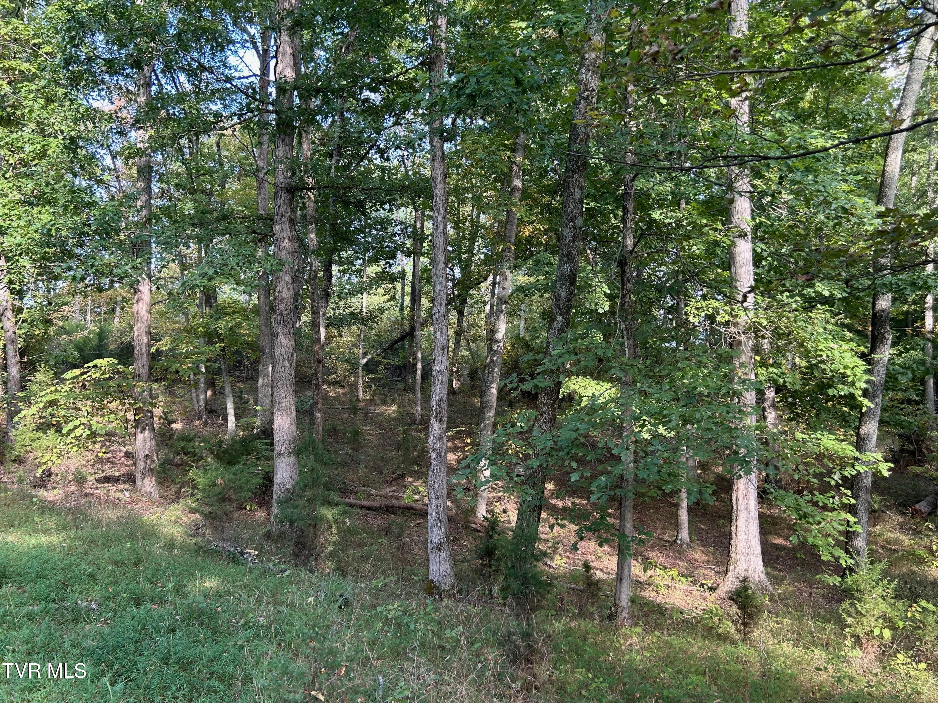 513 Cardinal Way Rd-7