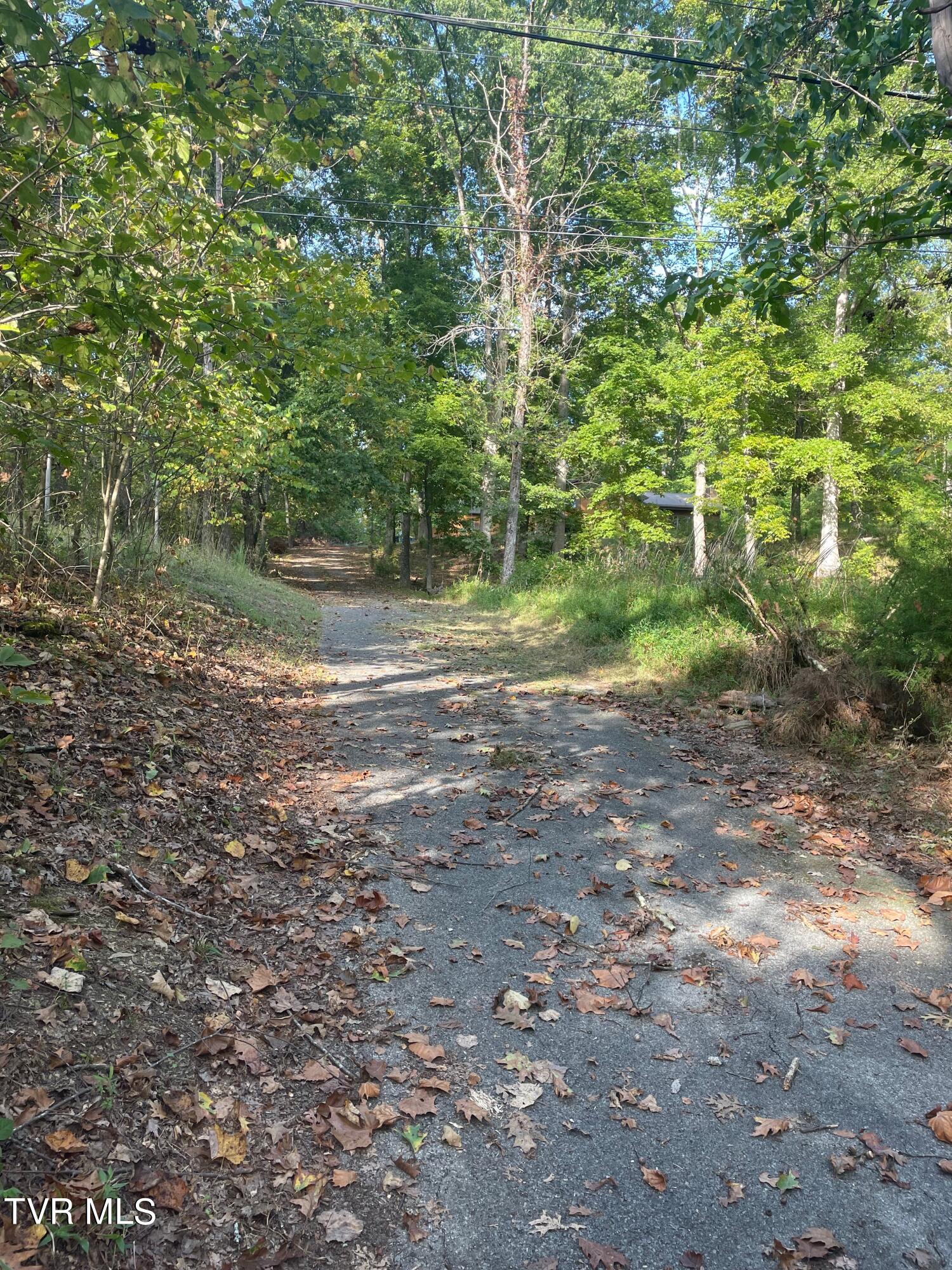 513 Cardinal Way Rd-3