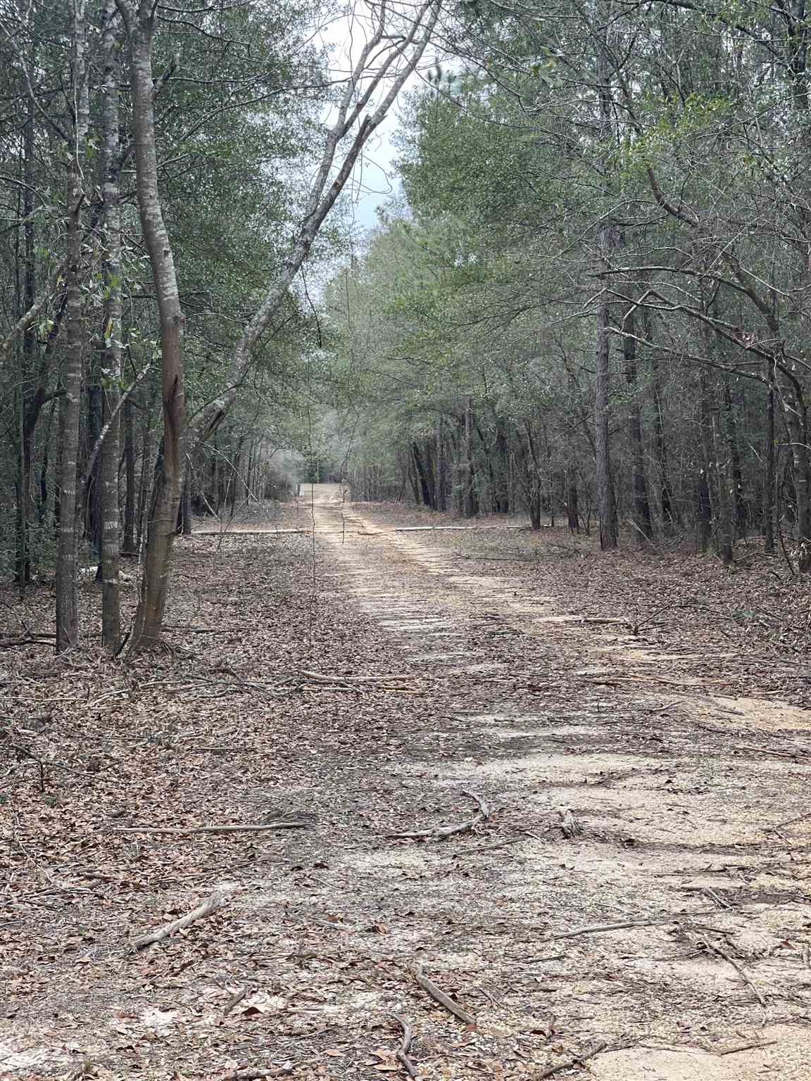 Lot 14 Walling Road Milton, FL 32570 - Photo 2 of 4 Gallery Image 2