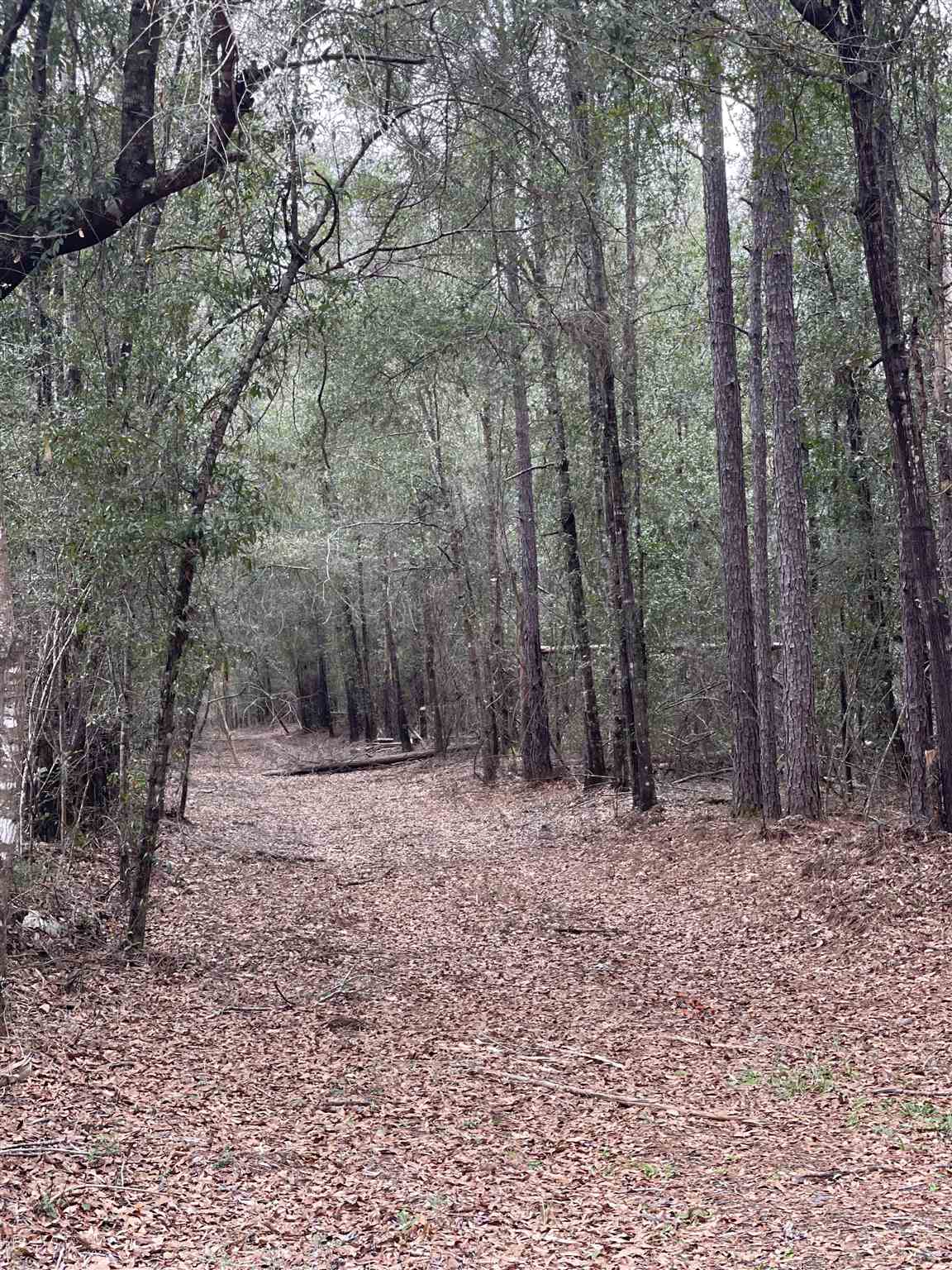 Lot 14 Walling Road Milton, FL 32570 - Photo 3 of 4 Gallery Image 3
