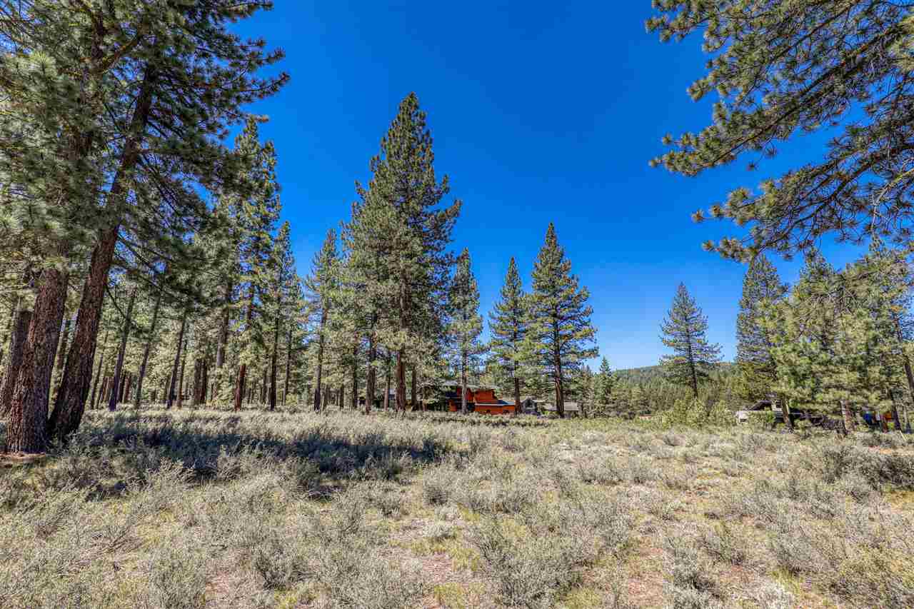 11111 Henness Road Truckee, CA 96161 - Photo 11 of 20 a view of outdoor space with trees