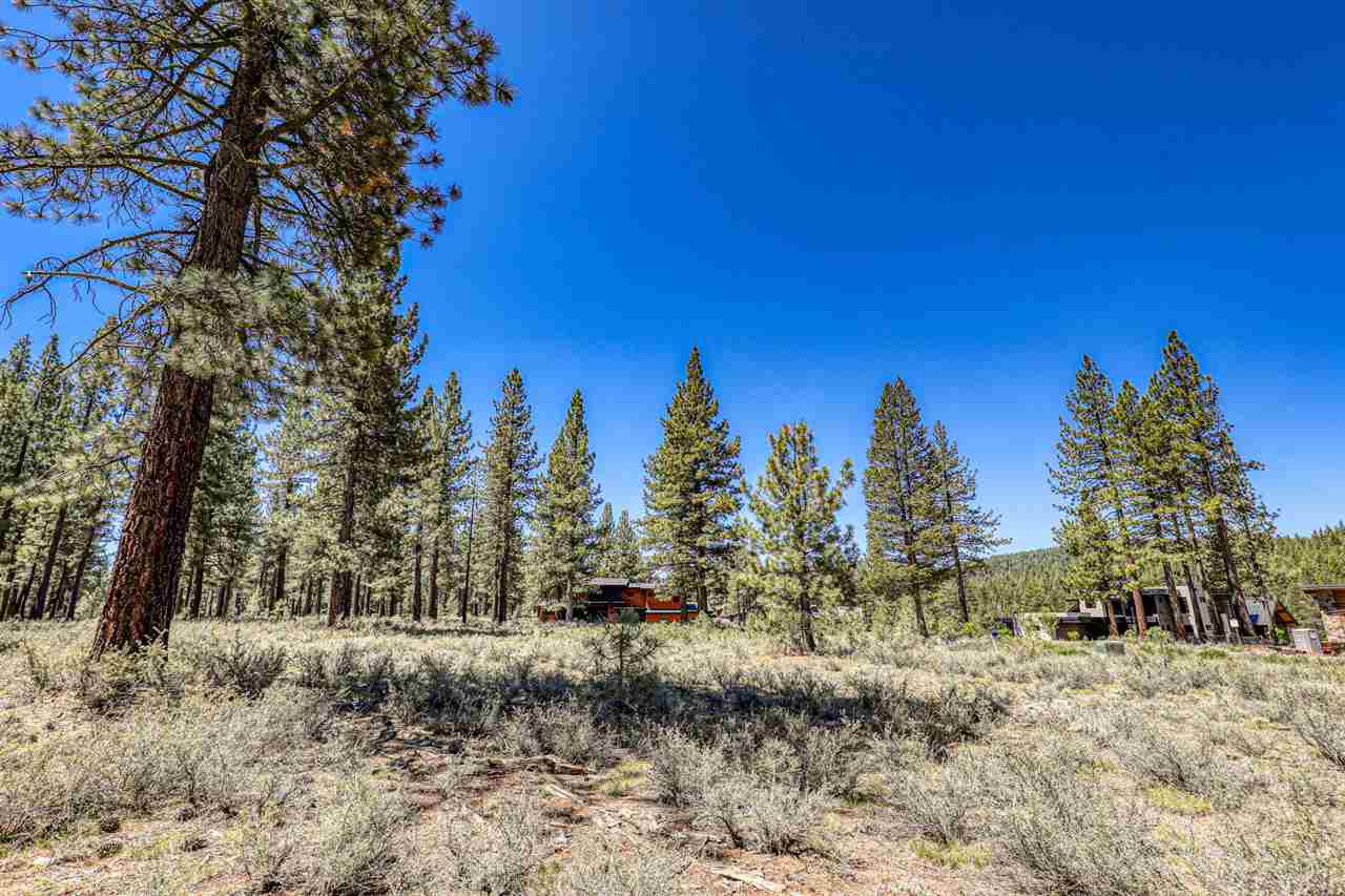 11111 Henness Road Truckee, CA 96161 - Photo 12 of 20 a view of a covered with trees in the background