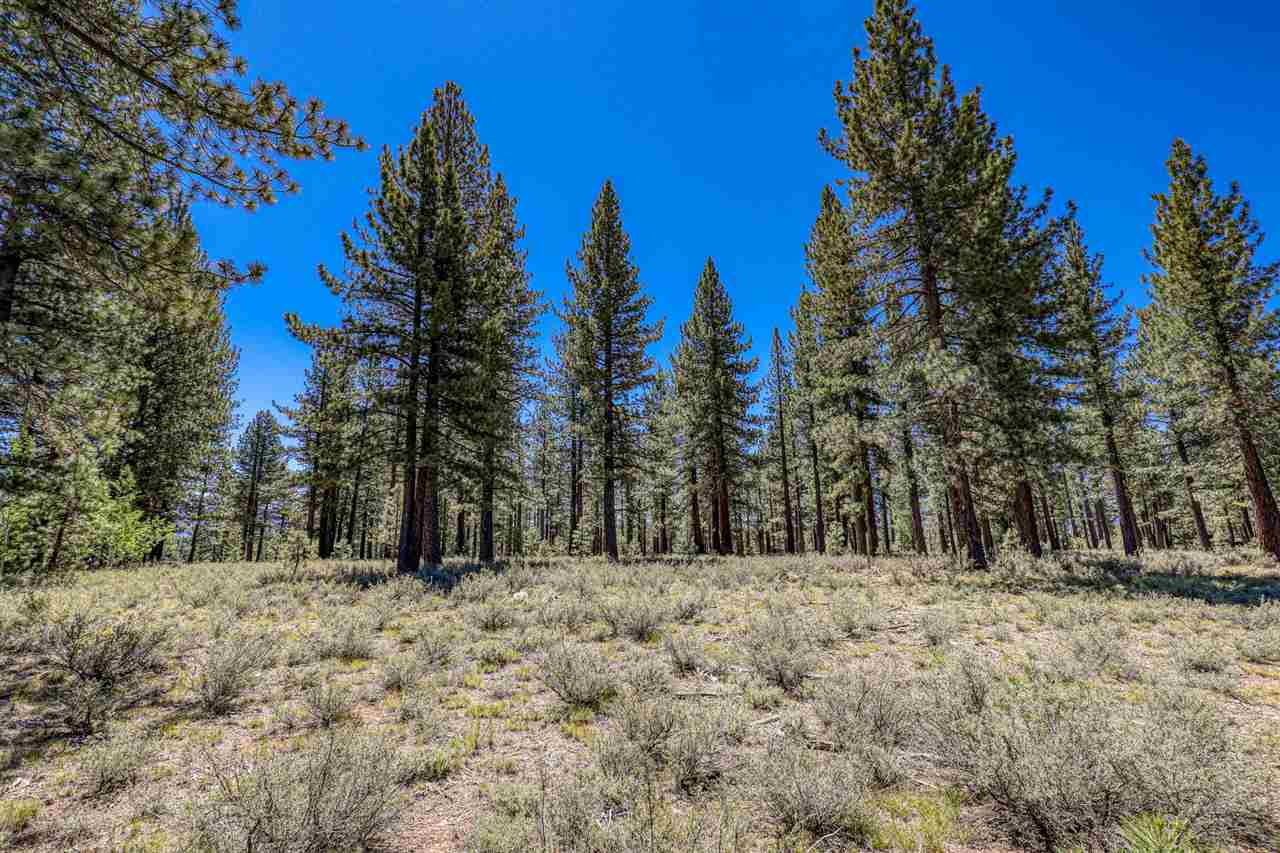 11111 Henness Road Truckee, CA 96161 - Photo 14 of 20 a view of snow covered with trees