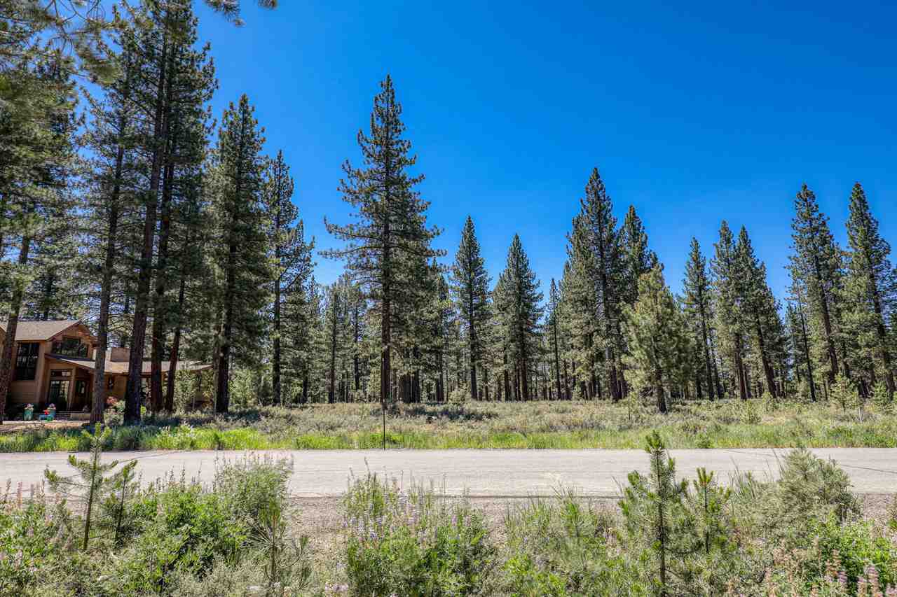 11111 Henness Road Truckee, CA 96161 - Photo 2 of 20 a view of a yard with trees