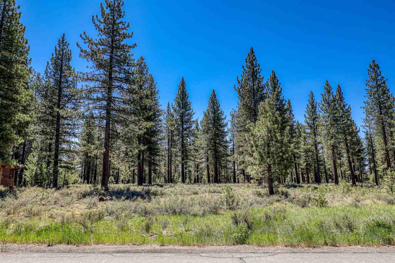 11111 Henness Road Truckee, CA 96161 - Photo 3 of 20 a view of a yard