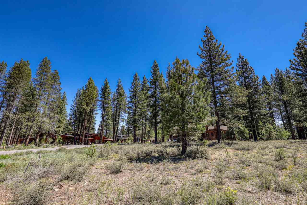 11111 Henness Road Truckee, CA 96161 - Photo 5 of 20 a view of a trees in a yard