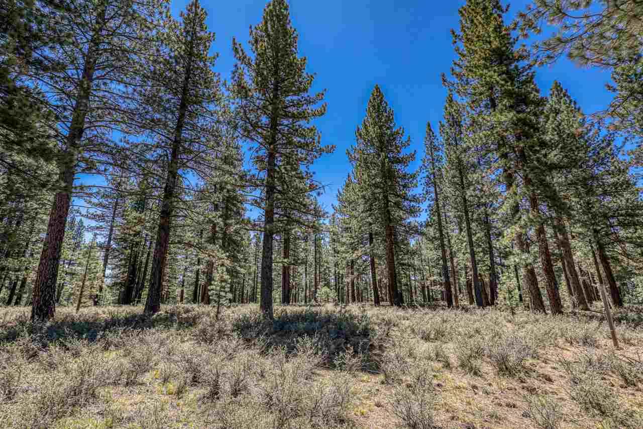 11111 Henness Road Truckee, CA 96161 - Photo 6 of 20 a view of a forest filled with trees