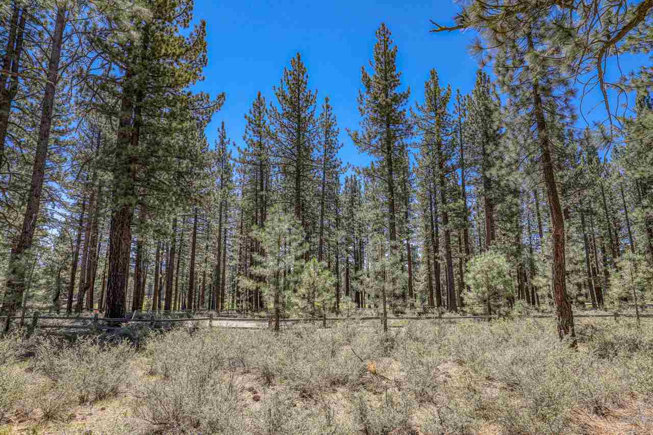 11111 Henness Road Truckee, CA 96161 - Photo 9 of 20 a view of a forest with trees in the background