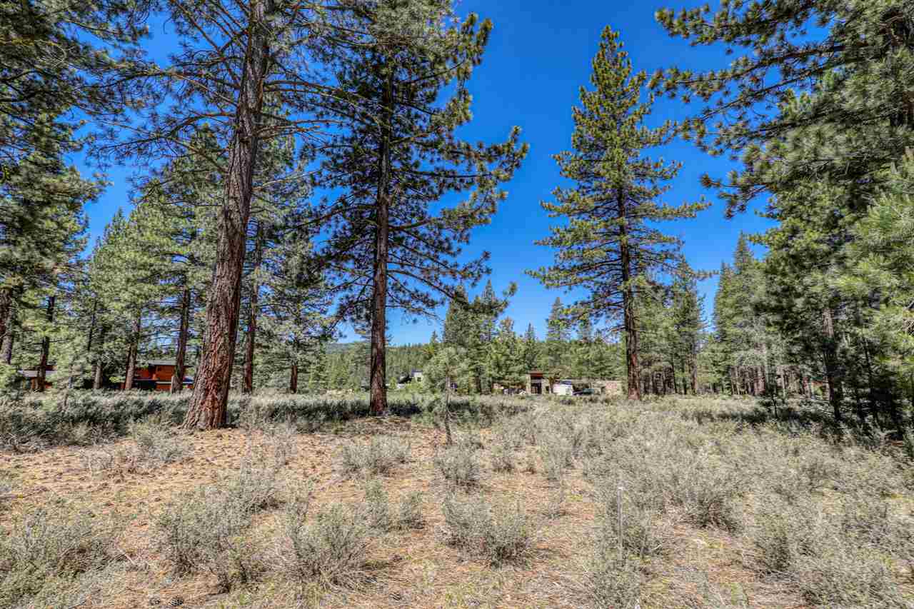 11111 Henness Road Truckee, CA 96161 - Photo 10 of 20 a view of a yard with trees