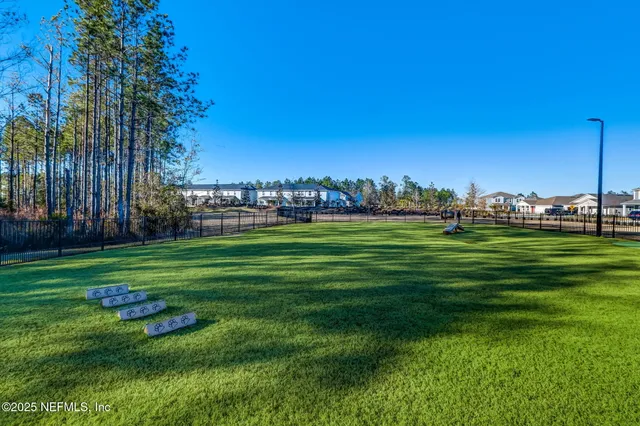 a view of a park with a big trees