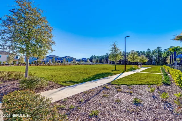 a view of a park with large trees and plants