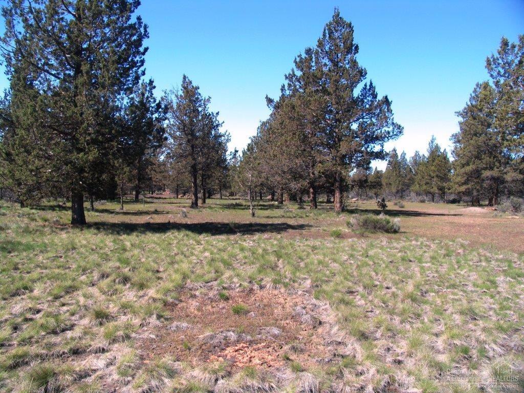 18320 Goldcoach Road Sisters, OR 97759 - Photo 19 of 25 Additional Photo