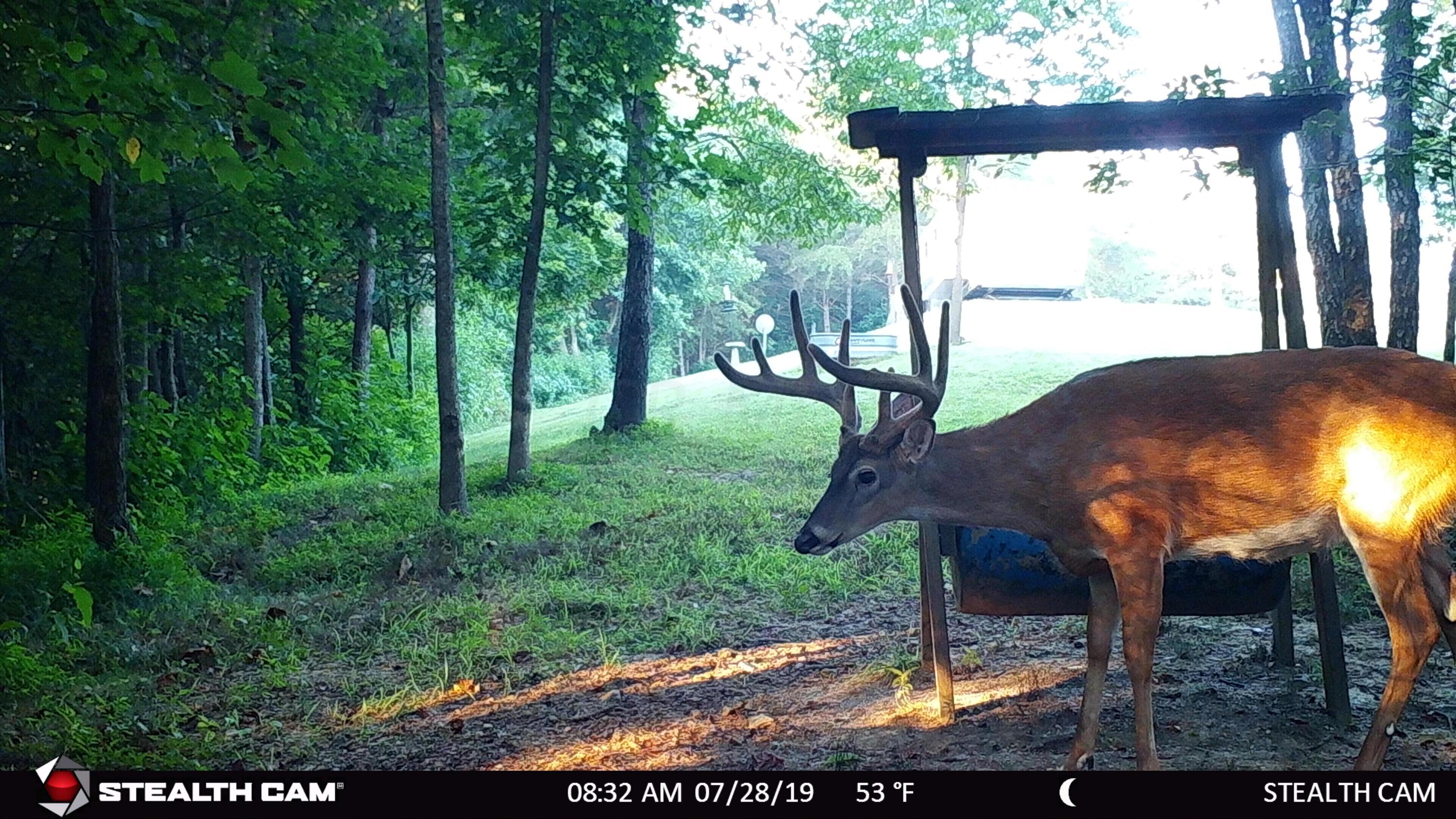 1350 Savageville Road Jackson, OH 45640 - Photo 23 of 42