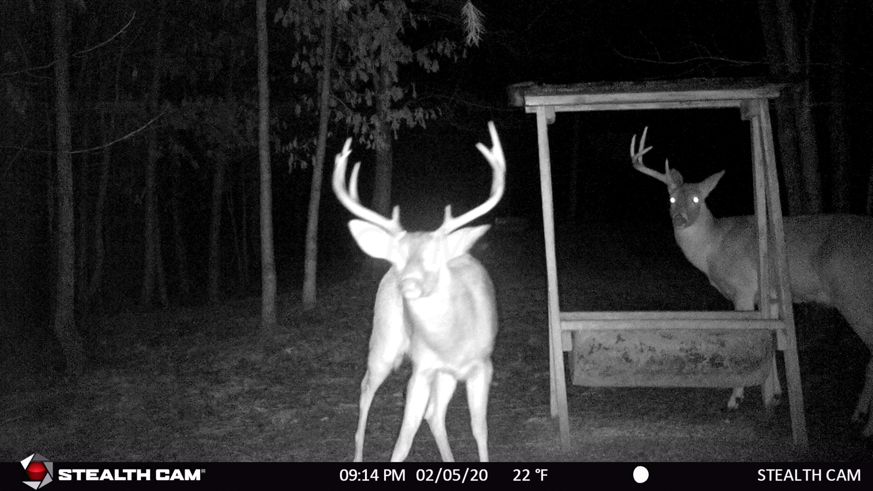 1350 Savageville Road Jackson, OH 45640 - Photo 24 of 42