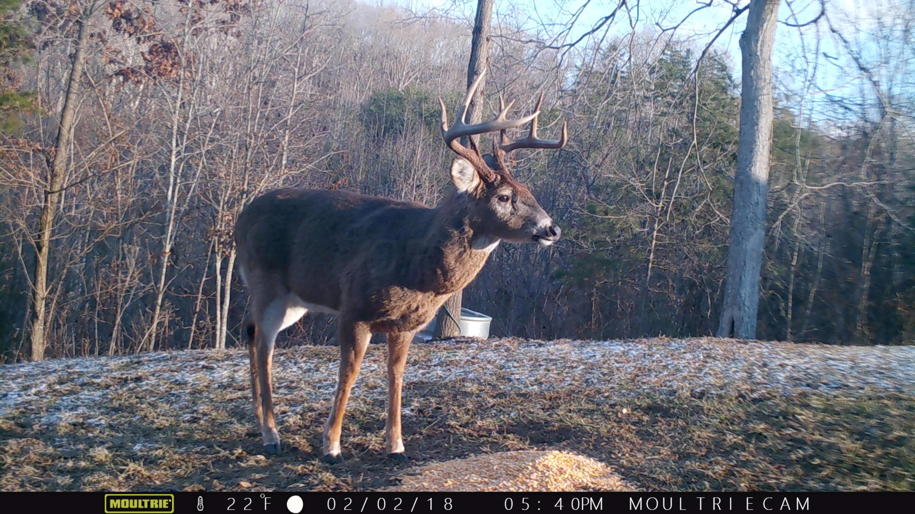 1350 Savageville Road Jackson, OH 45640 - Photo 25 of 42