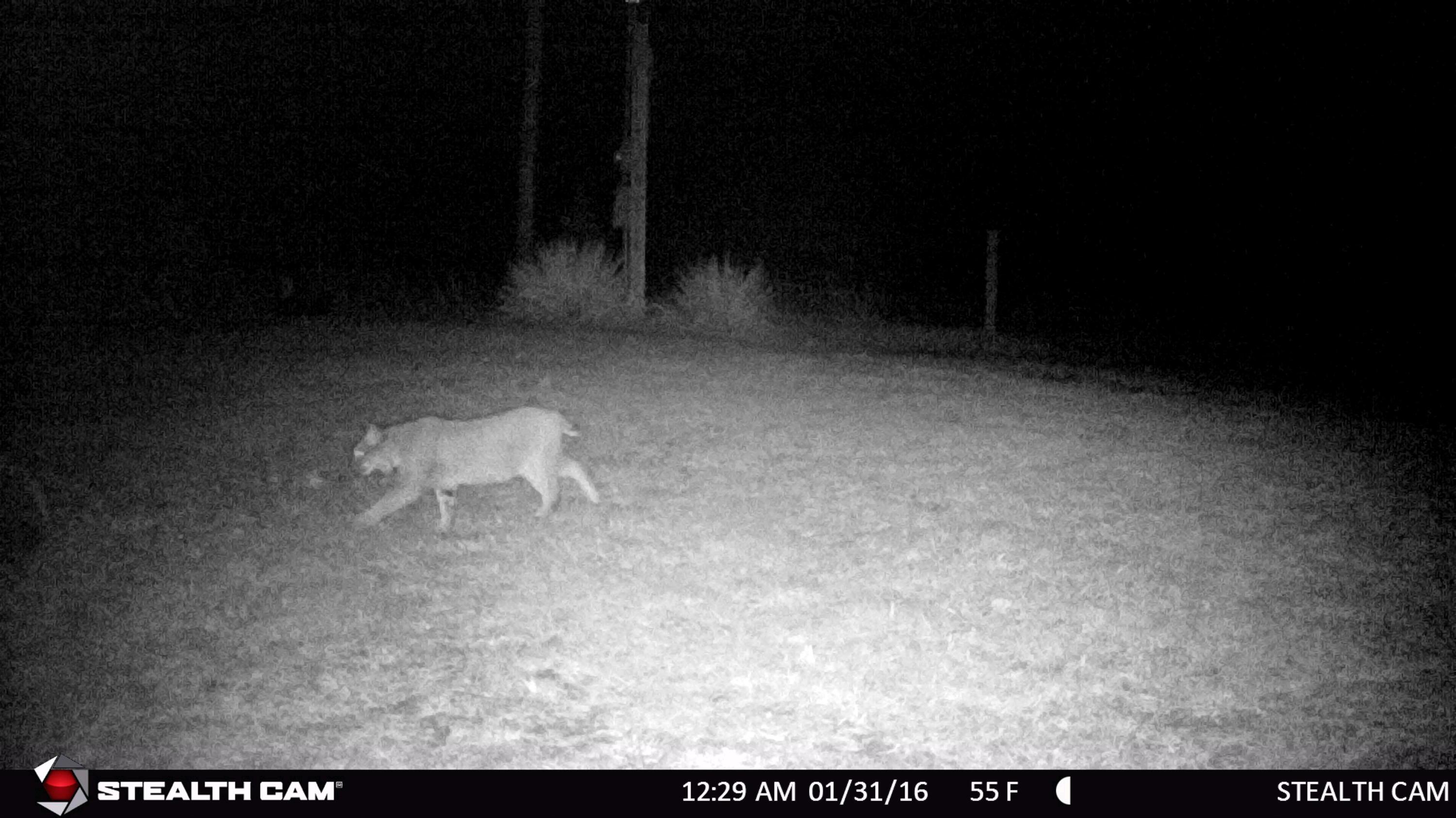1350 Savageville Road Jackson, OH 45640 - Photo 35 of 42