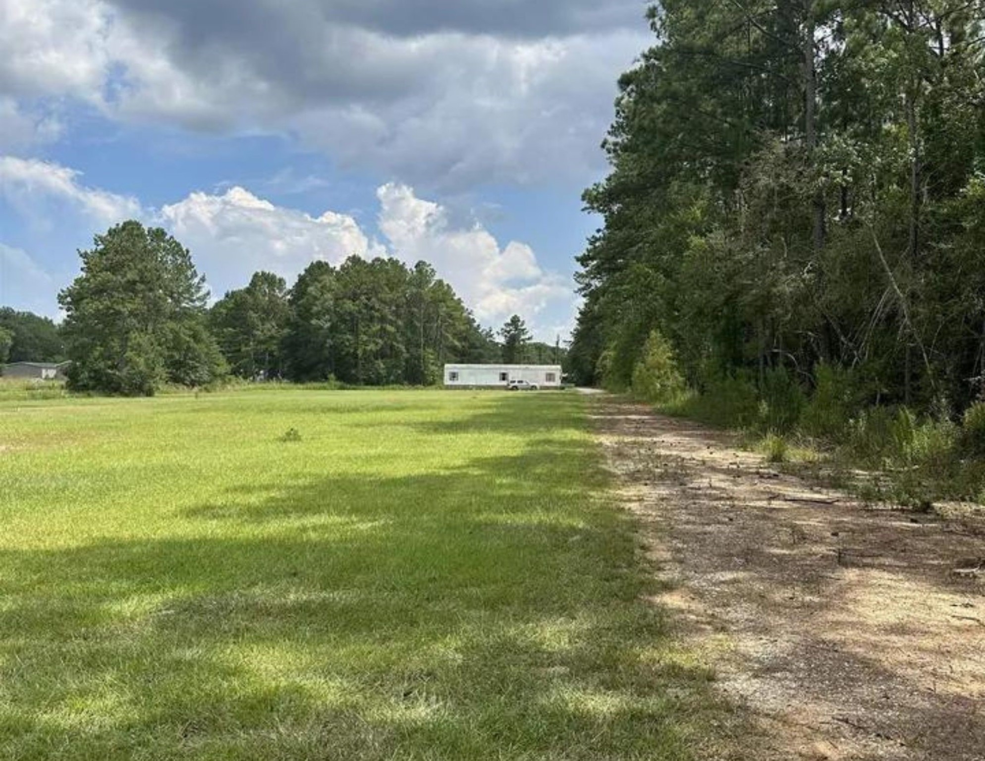 a view of a field with a trees in the background