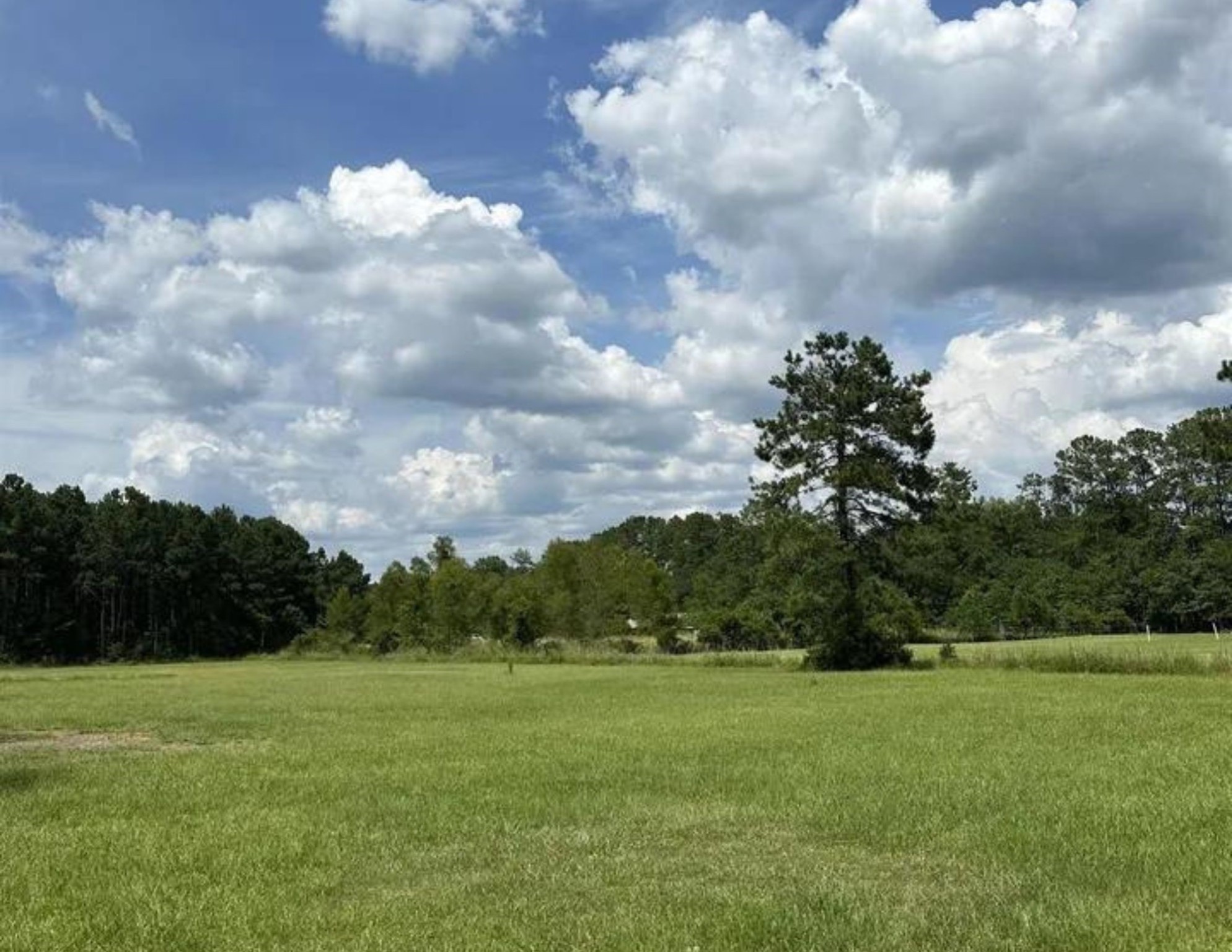 8185 Fm 1122 Silsbee, TX 77656 - Photo 3 of 11 a view of field with trees in the background