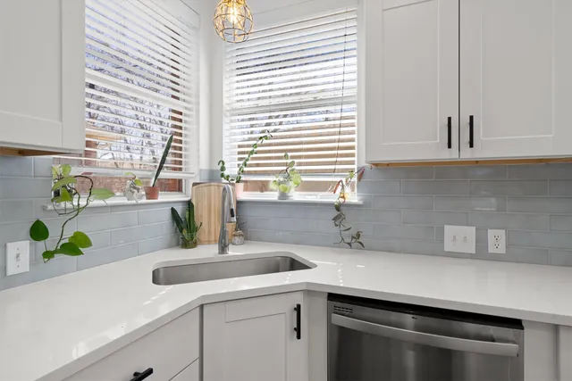 a kitchen with a sink and a potted plant
