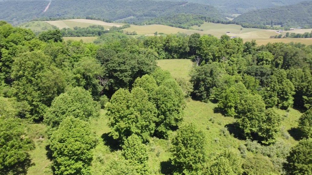Tbd Buckeye Hollow Road Saltville, VA 24370 - Photo 10 of 13 Gallery Image 10