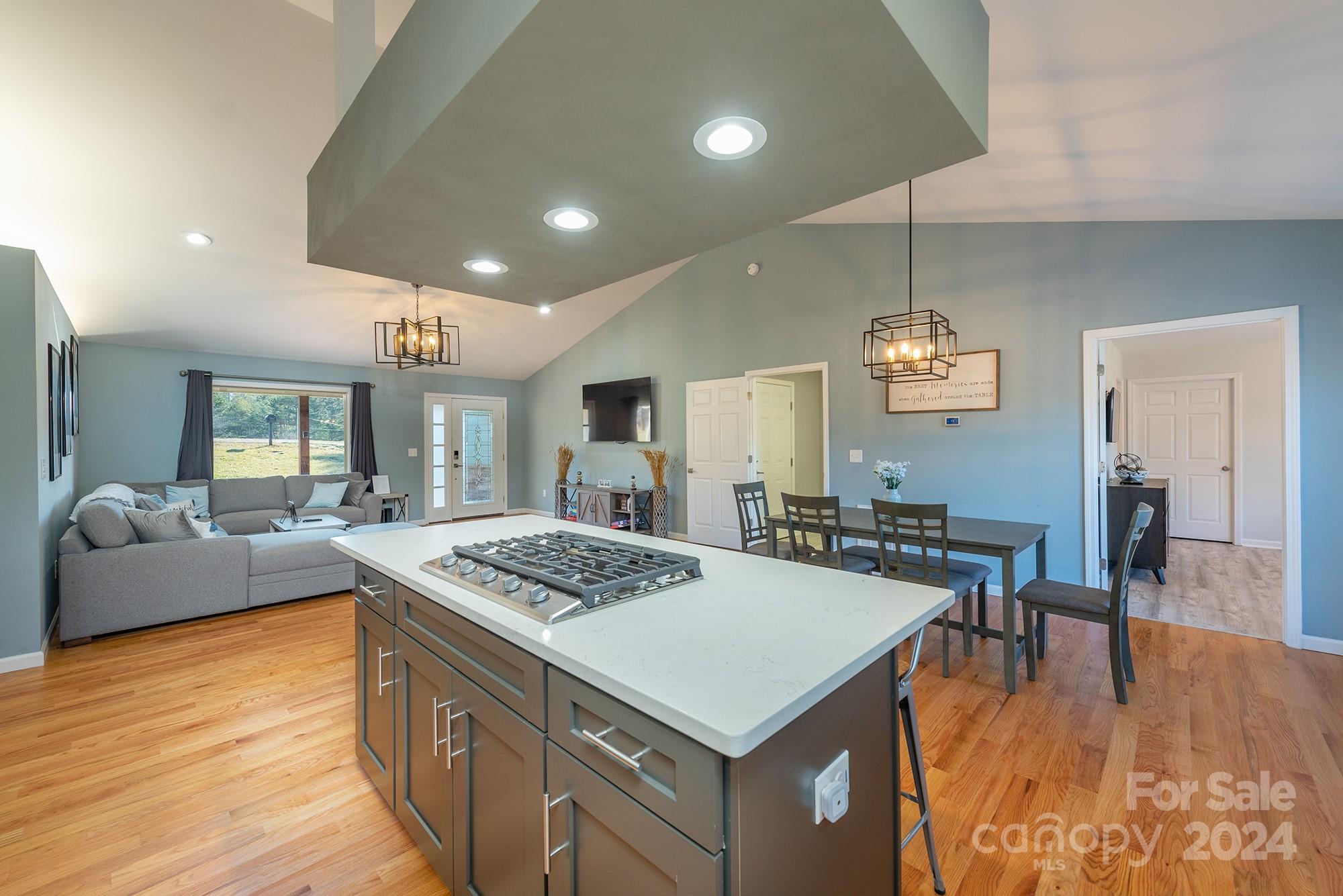 124 Martin Branch Road Leicester, NC 28748 - Photo 14 of 43 Gallery Image 14