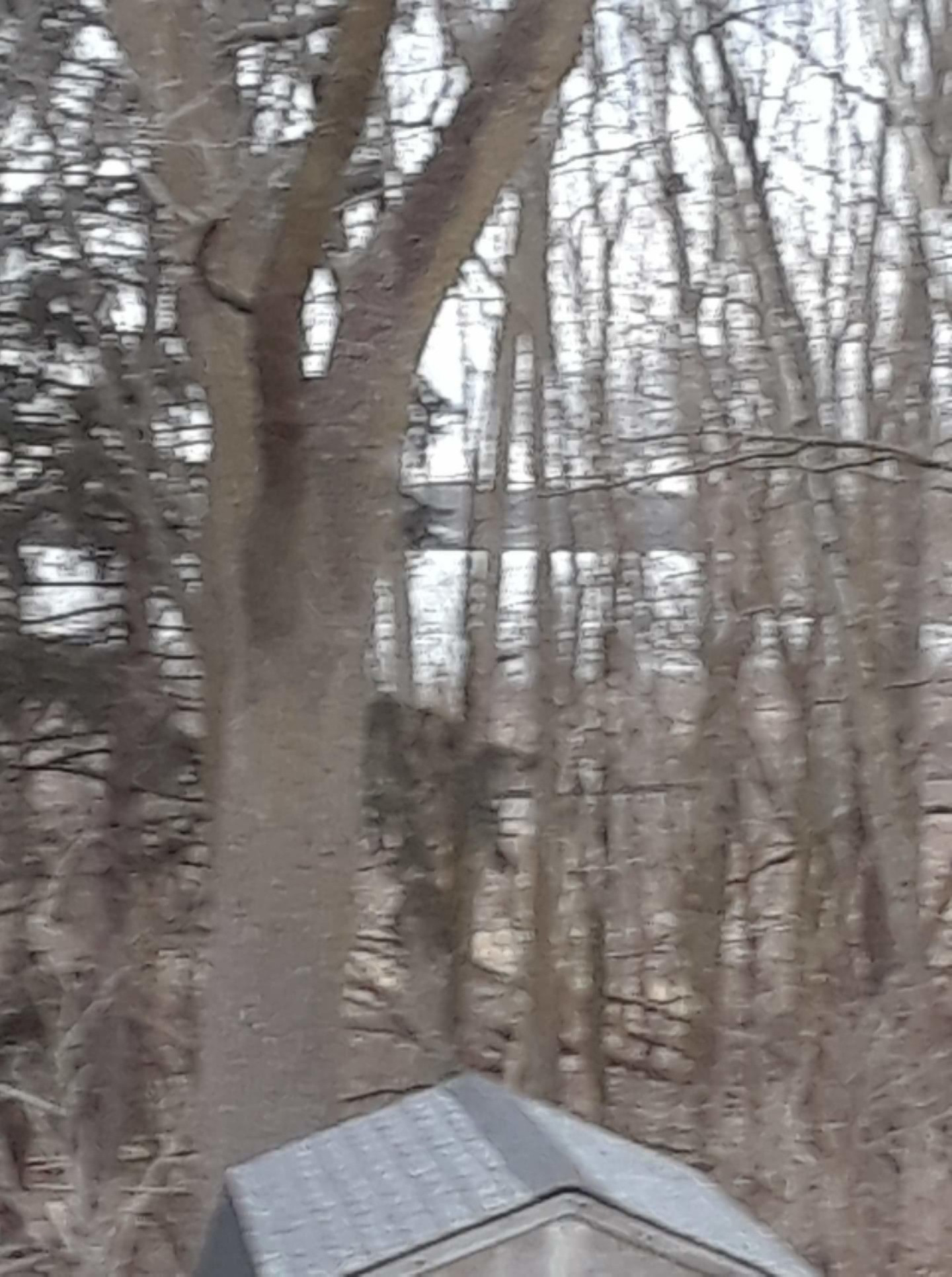 1434 Haslett Road Haslett, MI 48840 - Photo 6 of 38 View from Bedroom