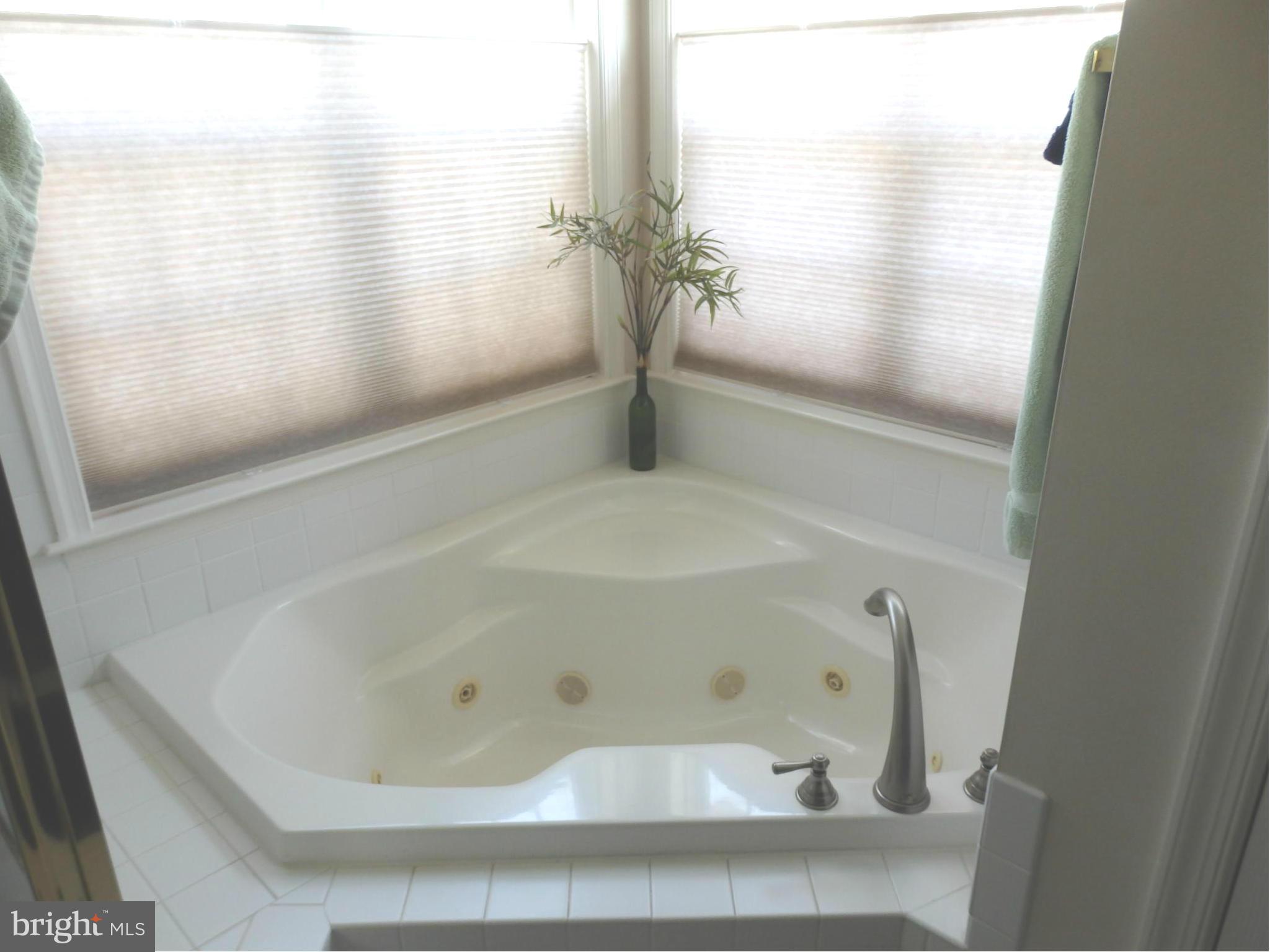 2634 Mill Race Road Frederick, MD 21701 - Photo 16 of 30 Jetted corner tub in owner's bath