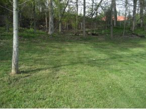 410 Hog Hollow Road Gray, TN 37615 - Photo 20 of 24 Rear of Acre Lot