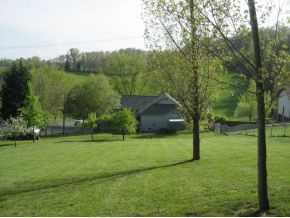 410 Hog Hollow Road Gray, TN 37615 - Photo 22 of 24 Photo 22