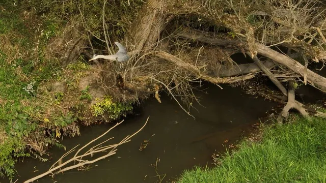 $135,000 | 33 Hillsboro Wi 54634, Hillsboro, WI 54634