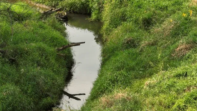 $135,000 | 33 Hillsboro Wi 54634, Hillsboro, WI 54634