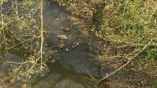 $135,000 | 33 Hillsboro Wi 54634, Hillsboro, WI 54634