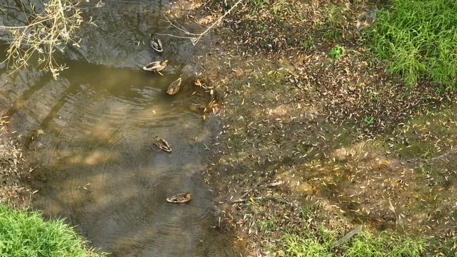 $135,000 | 33 Hillsboro Wi 54634, Hillsboro, WI 54634